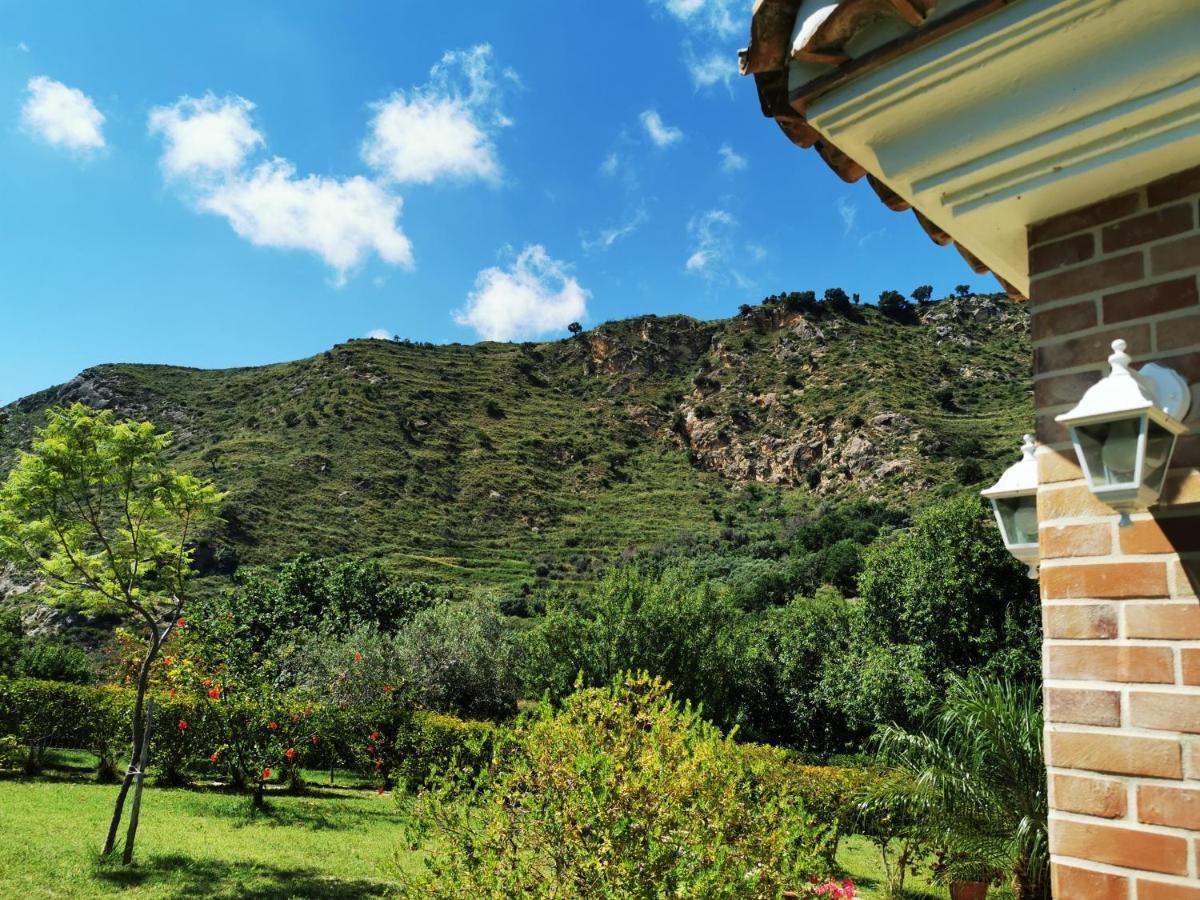 Il Mandorlo Villa Amantea Eksteriør bilde