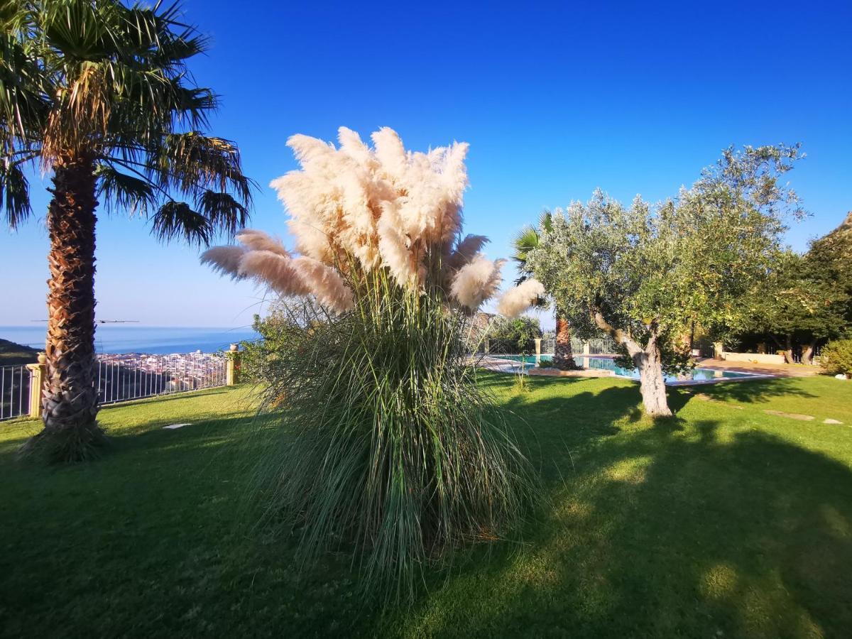 Il Mandorlo Villa Amantea Eksteriør bilde