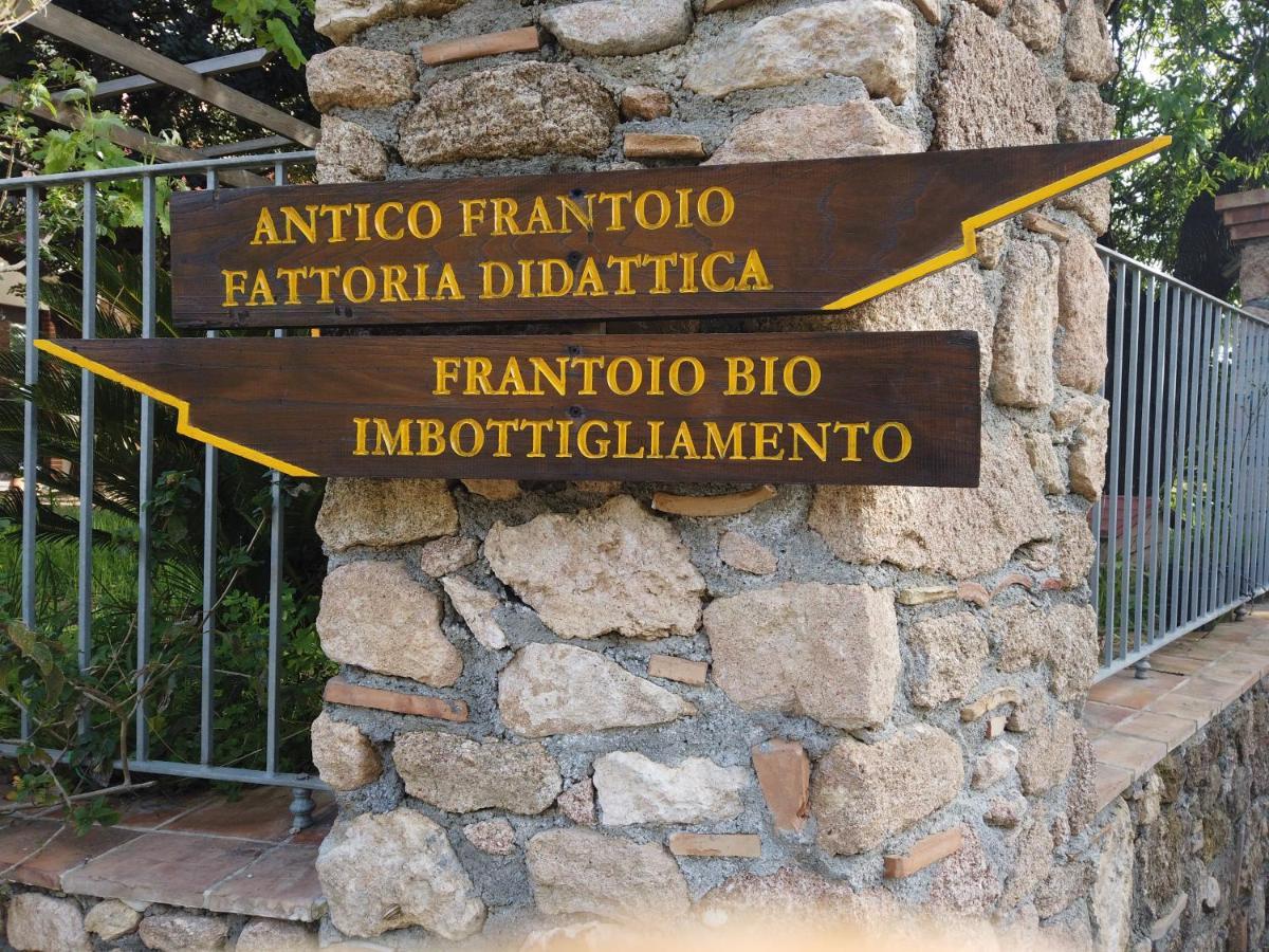Il Mandorlo Villa Amantea Eksteriør bilde
