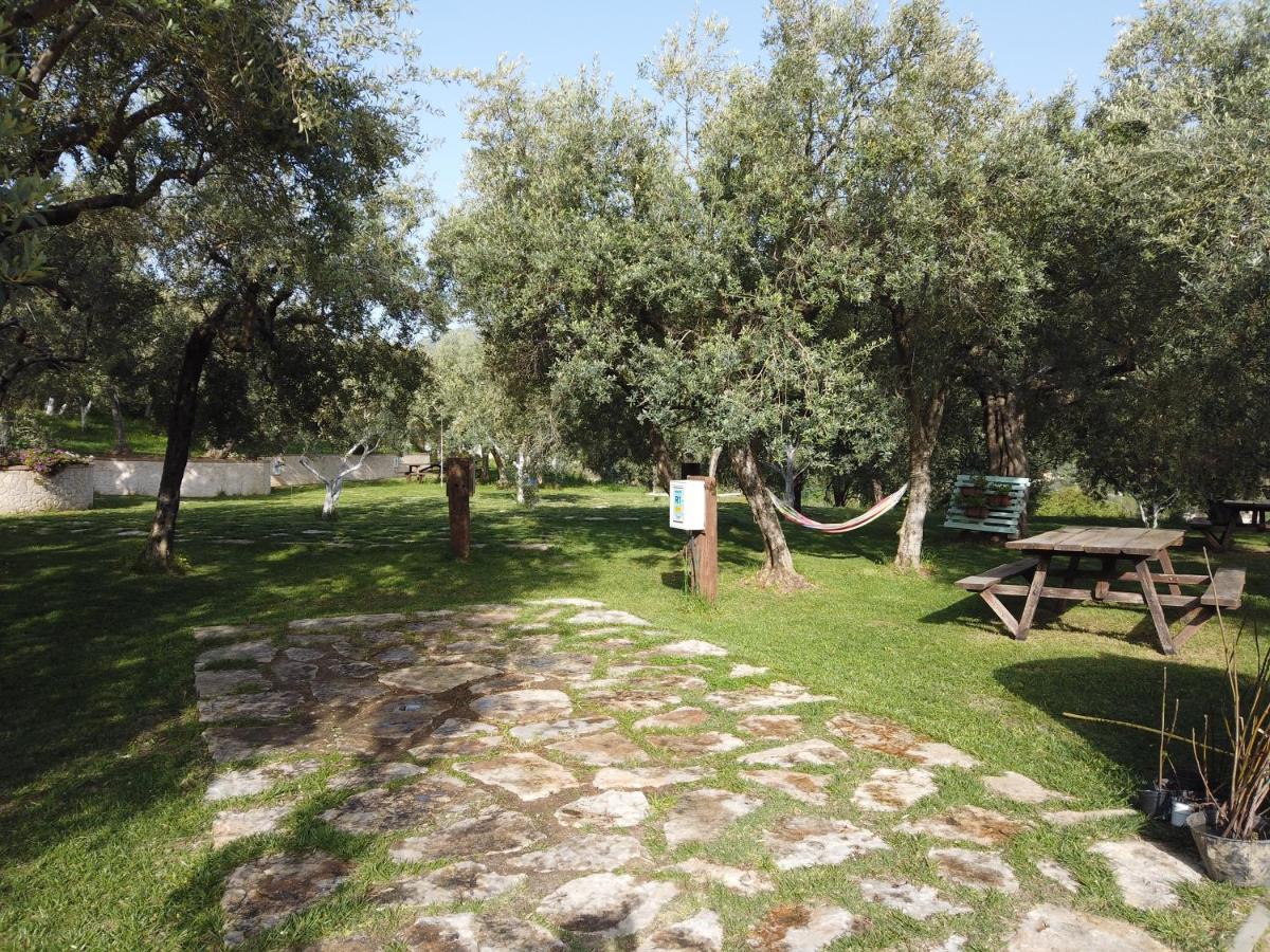 Il Mandorlo Villa Amantea Eksteriør bilde