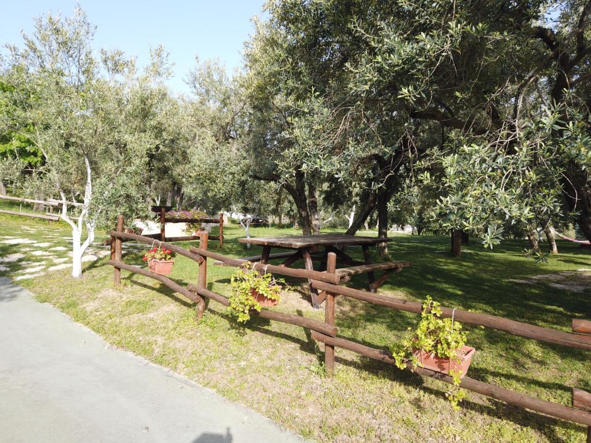 Il Mandorlo Villa Amantea Eksteriør bilde