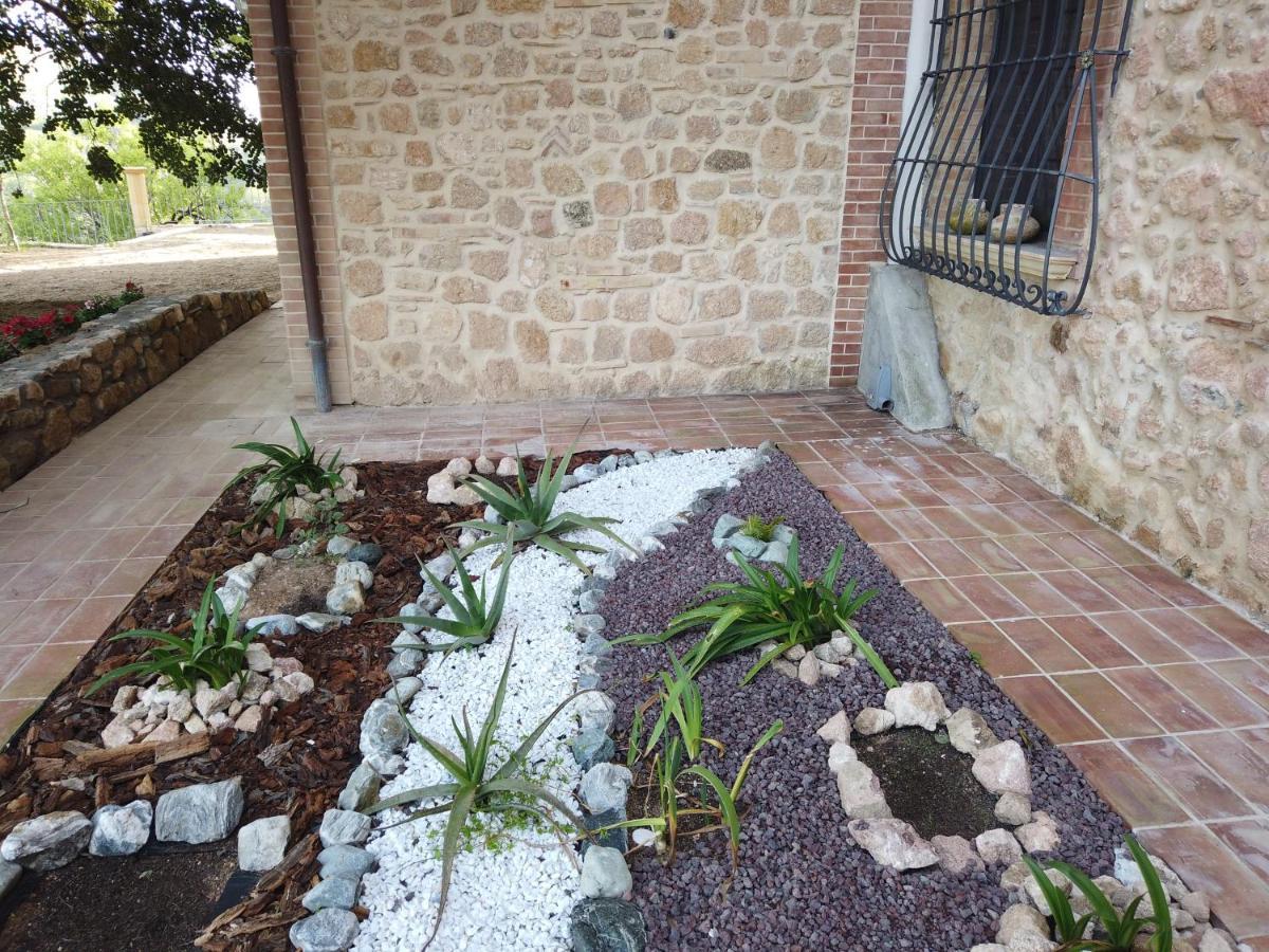 Il Mandorlo Villa Amantea Eksteriør bilde
