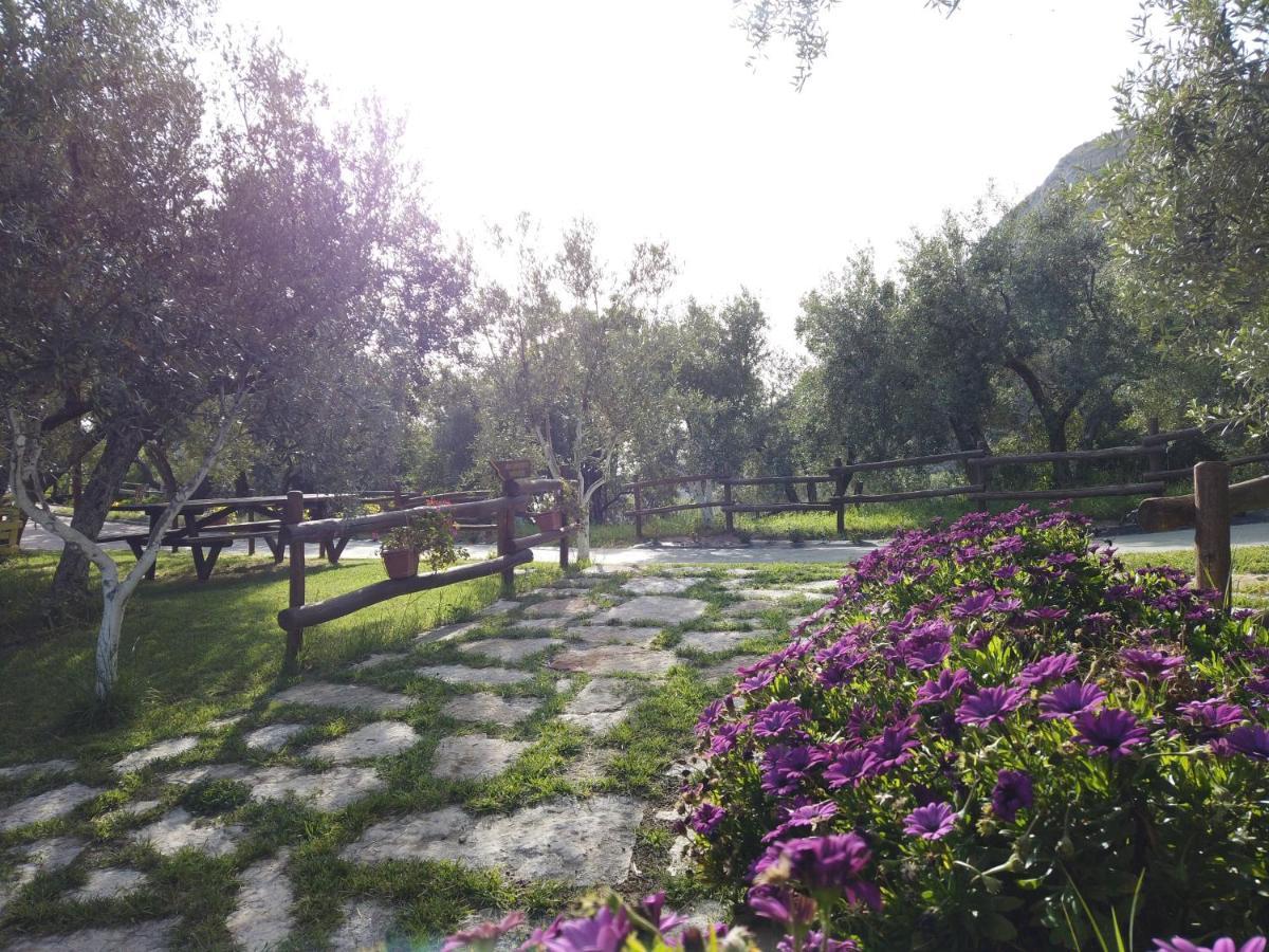 Il Mandorlo Villa Amantea Eksteriør bilde