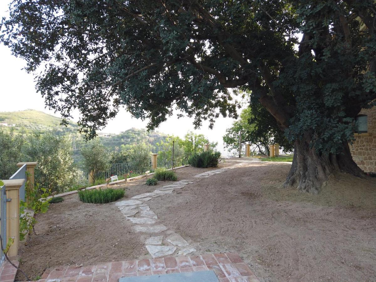 Il Mandorlo Villa Amantea Eksteriør bilde