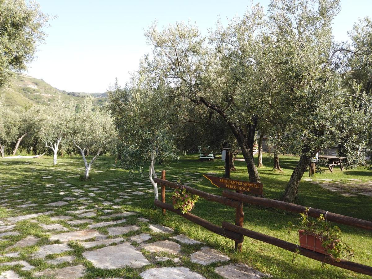 Il Mandorlo Villa Amantea Eksteriør bilde
