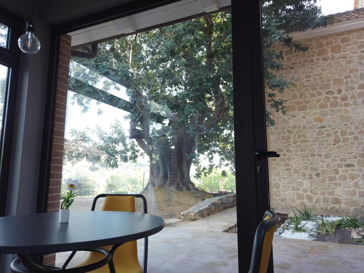 Il Mandorlo Villa Amantea Eksteriør bilde