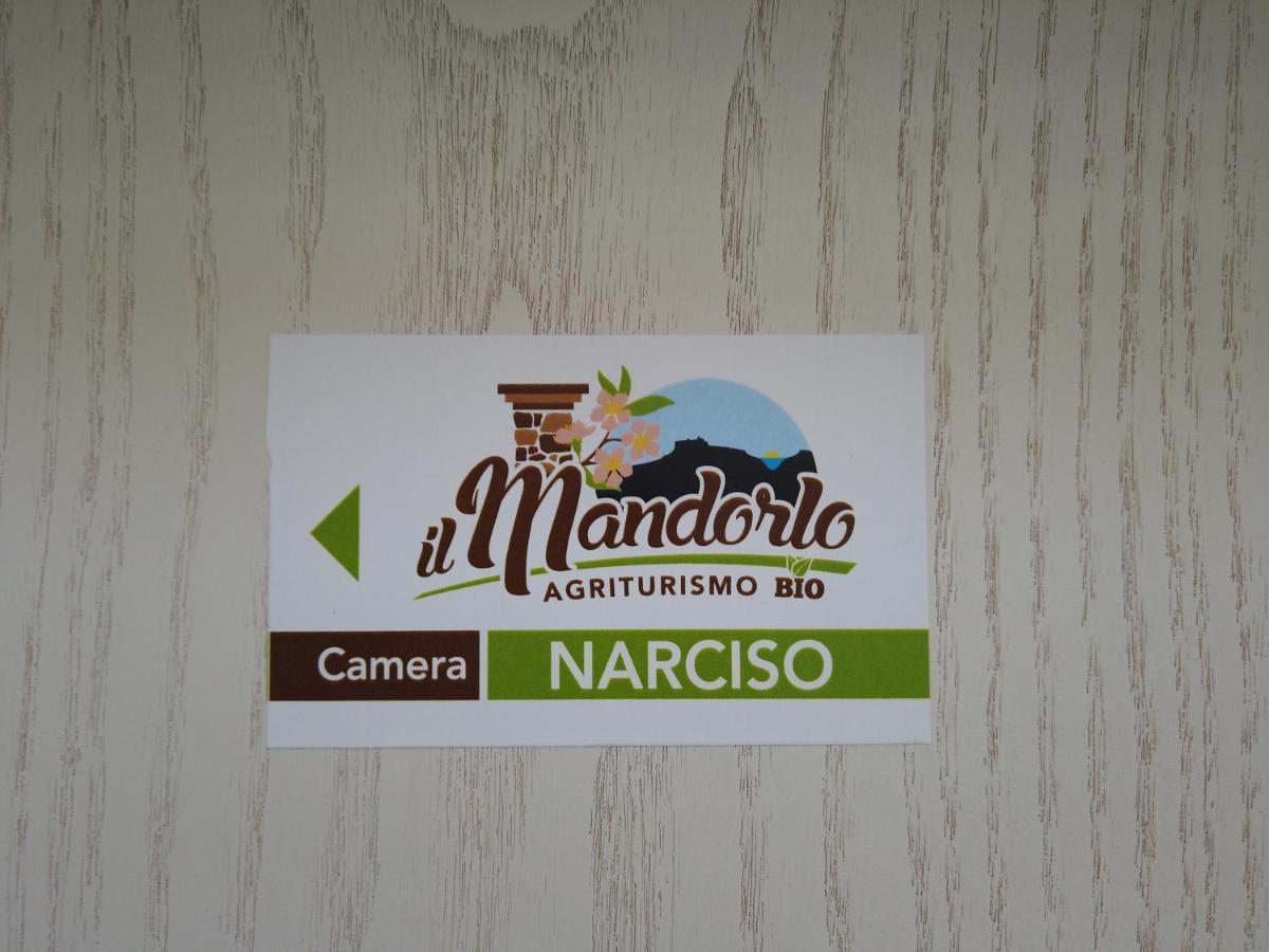 Il Mandorlo Villa Amantea Eksteriør bilde